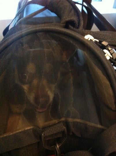 Checked in at Virgin America