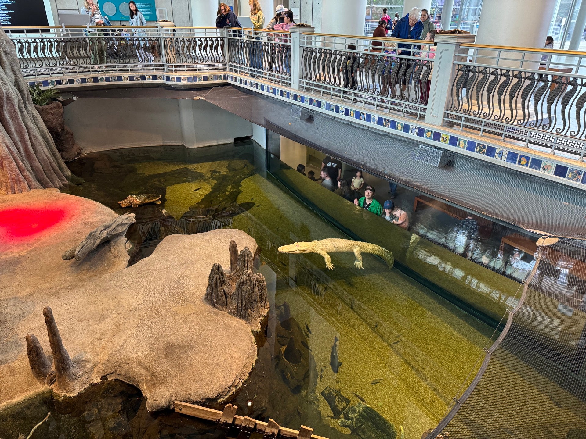 Checked in at California Academy of Sciences