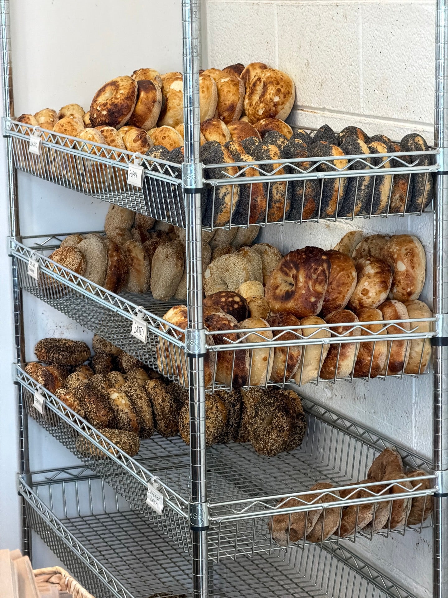 Checked in at Rich Spirit Bagels