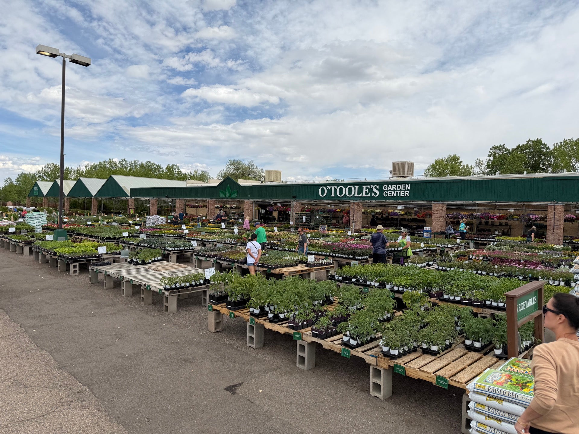 Checked in at O'Toole's Garden Center