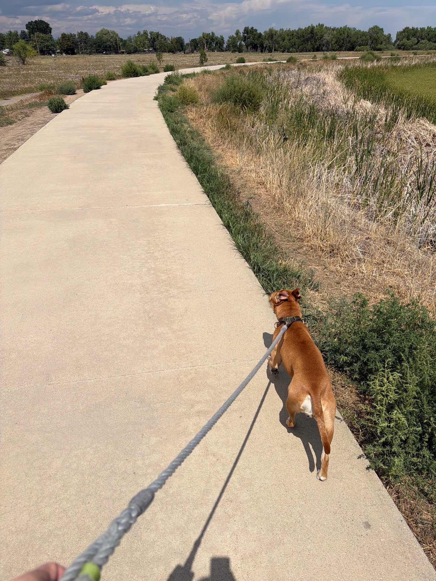Checked in at Crown Hill Open Space Park